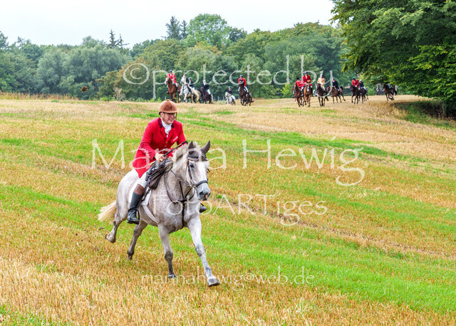 Jagd Kletkamp 26-02863_MarinaHewig | Fotografie, FotoArt, PferdesportArt, Pferdesportfotografie, Landschaftsfotografie, Reisefotografie, Reise, Pferde - Realisiert mit Pictrs.com