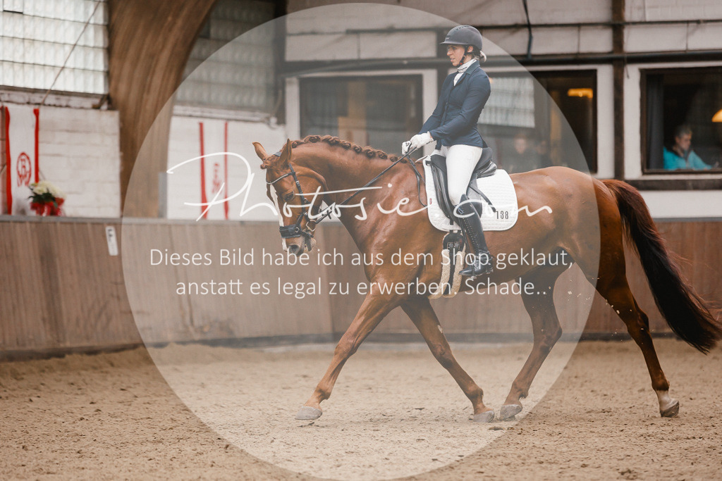 3I6A7515 | Stimmungsvolle Portraits und Reitsportfotografie im Ruhrgebiet und im Münsterland.

Pferdefotografie, Hundefotografie, Tierfotografie, Reportagen, Portraits von Tier und Mensch, Turnierfotografie in Bochum, Recklinghausen, Marl, Haltern am See, Dülmen.. - Realisiert mit Pictrs.com