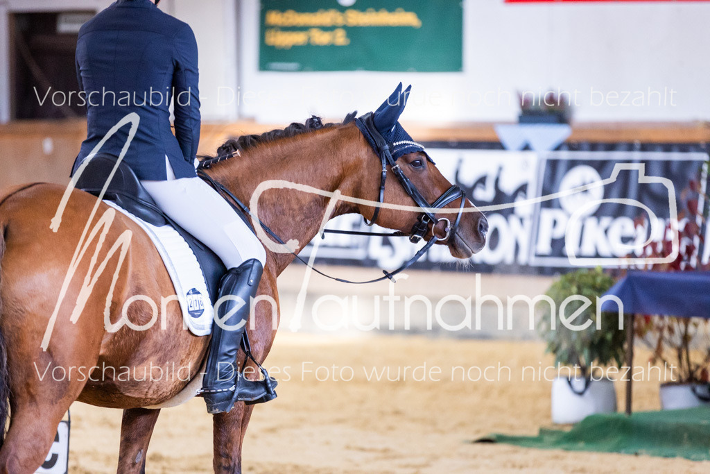 Sth-A-Dre-2St-241 | MomenTaufnahmen Pferdesportfotos