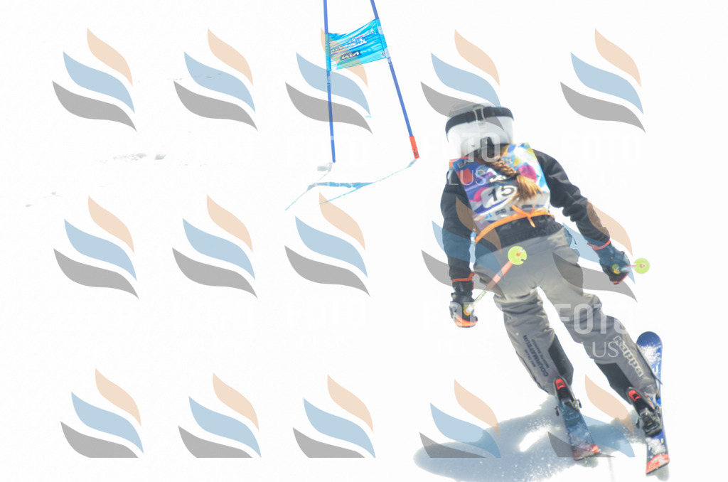 _ELE6333 | holidayphoto