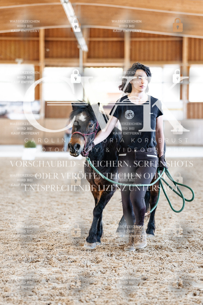 CK906876 | Turnierfotografie Pferdefotografie Trier Rheinland-Pfalz Pferdesport Reitsport Tierfotografie Sportfotografie Pferdevideo Pferdevideografie Equestrianvideography equestrianphotography  - Realisiert mit Pictrs.com