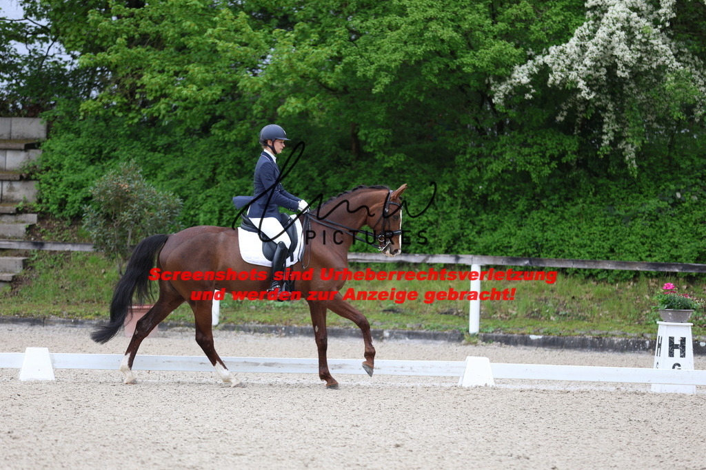 A40A0594 | lmwpictures - Realisiert mit Pictrs.com