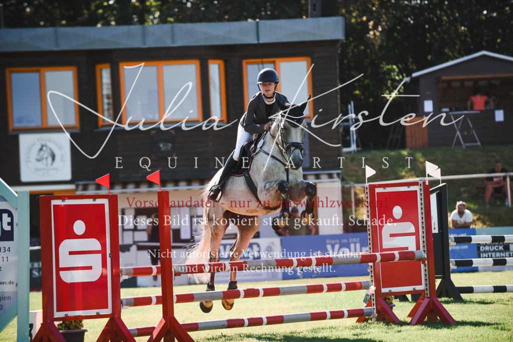 DSC_2538 | Pferde- und Turnierfotografie in Westsachsen. Pferdeportraits, Auftragszeichnungen und intuitive Kunst.