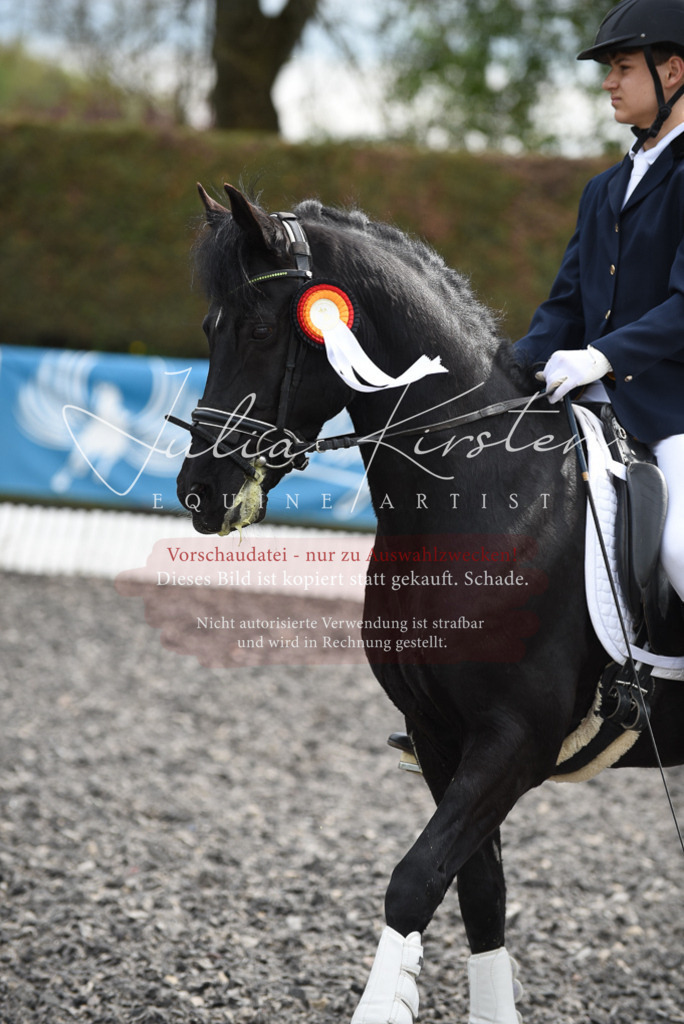 20230513_JK-Röhrsdorf-16-380 | Pferde- und Turnierfotografie in Westsachsen. Pferdeportraits, Auftragszeichnungen und intuitive Kunst.