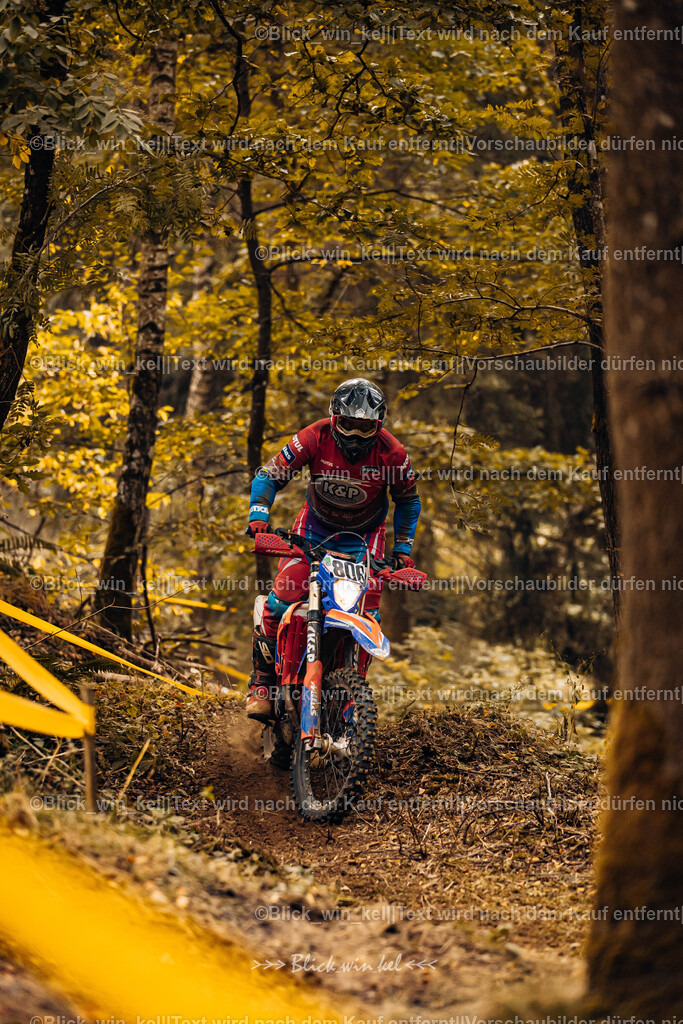 E68A3953 | blick_win_kel