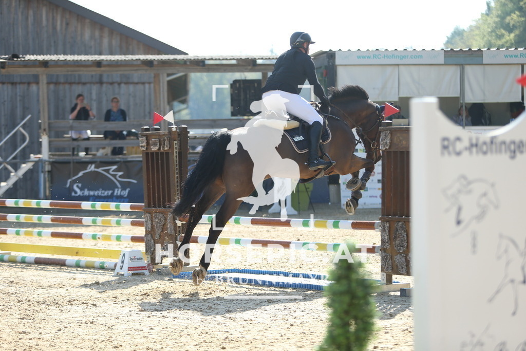 DL2Q0579 | Willkommen bei Brunnmayr - Design & Fotografie – Ihrem Spezialisten für Reitturniere und Pferdeveranstaltungen in Oberösterreich, Salzburg und Bayern! Seit über 17 Jahren sind wir leidenschaftlich dabei.