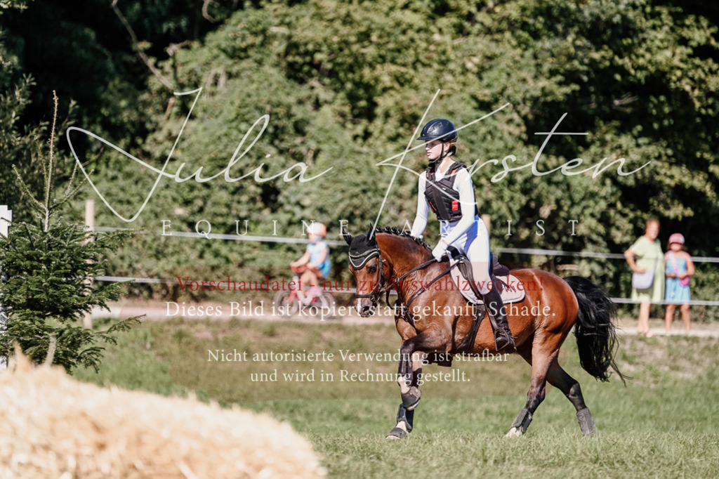 DSC_2950 | Pferde- und Turnierfotografie in Westsachsen. Pferdeportraits, Auftragszeichnungen und intuitive Kunst.