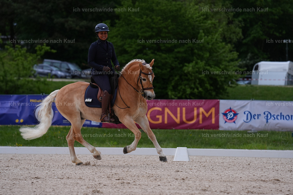 PI26_DR_241_Stoibphotography_SIN06012.jpg | working equitationturnier fotograf videograf stoibphotography marixx film working equitation deutschland reitsport turnierfotografie eventfotografie equestrian events