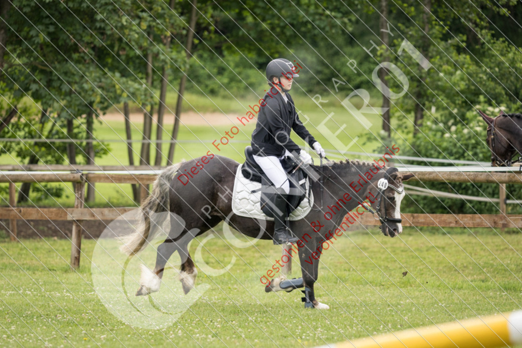 IMG_2524 | Sport-, Event- und Tierfotos in Profiqualität. Einfach auswählen, bestellen und herunterladen. Dein Moment – perfekt festgehalten.