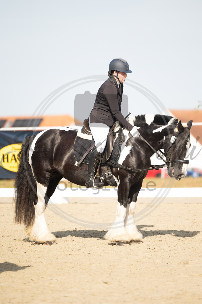 994A1592 | sabrinanicolaifotografie - Realisiert mit Pictrs.com