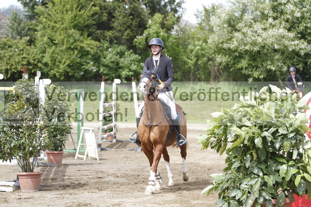 _MG_2665 | equestrian-live-com