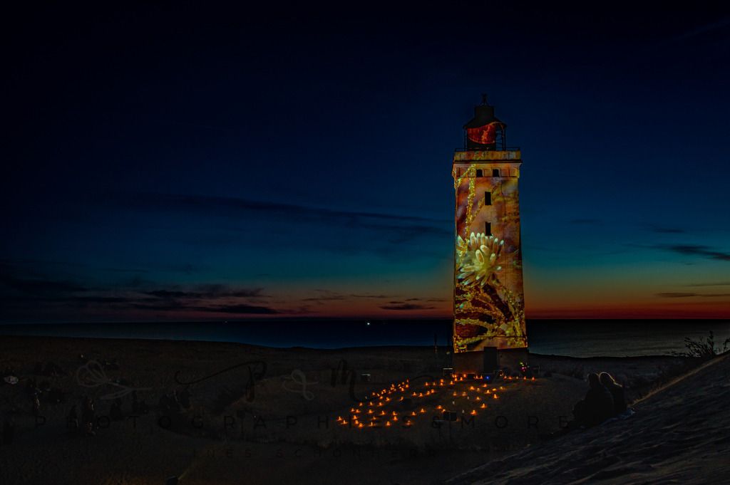 Lighthouse 1473 | Motiv Seeanemone - Realisiert mit Pictrs.com