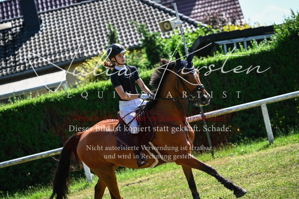 DSC_1467 | Pferde- und Turnierfotografie in Westsachsen. Pferdeportraits, Auftragszeichnungen und intuitive Kunst.