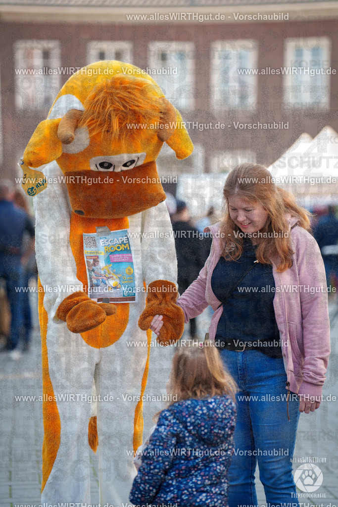 Pfötchenmarkt Nettetal-Lobberich 2026 - Nettetal-Tag - Daniel Wirth - www.allesWIRTHgut.de - @allesWIRTHgut_Tierfotografie 7R508307 | Professionelle Tierfotografie in Mönchengladbach von Daniel Wirth (allesWIRTHgut). Liebevolle & natürliche Bilder von Hunden & Katzen für unvergessliche Erinnerungen.