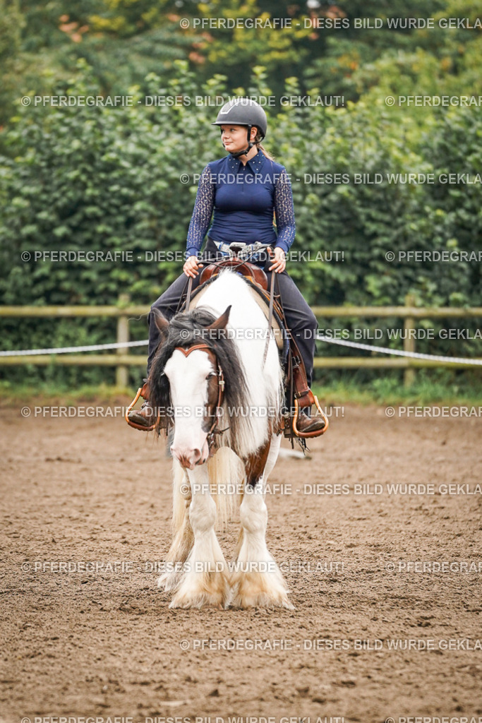 DSC02048 | Pferdegrafie