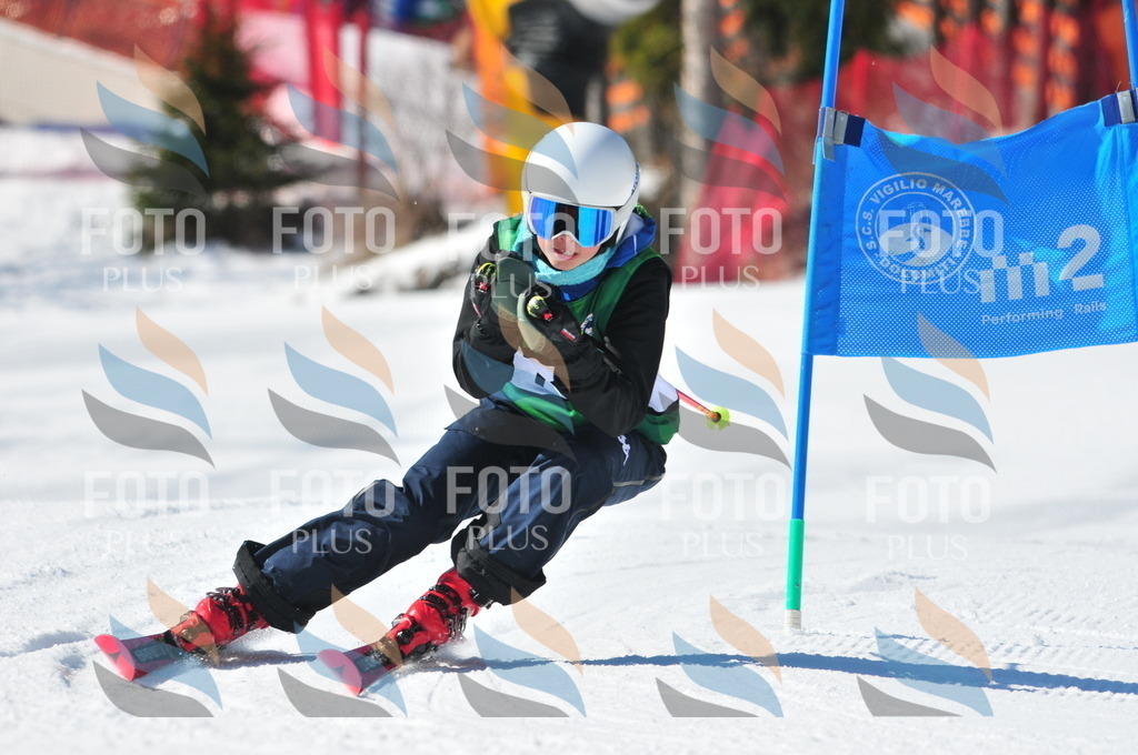 C3796 | holidayphoto