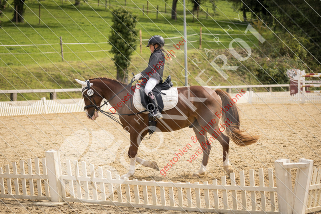 CON_0176 | Sport-, Event- und Tierfotos in Profiqualität. Einfach auswählen, bestellen und herunterladen. Dein Moment – perfekt festgehalten.