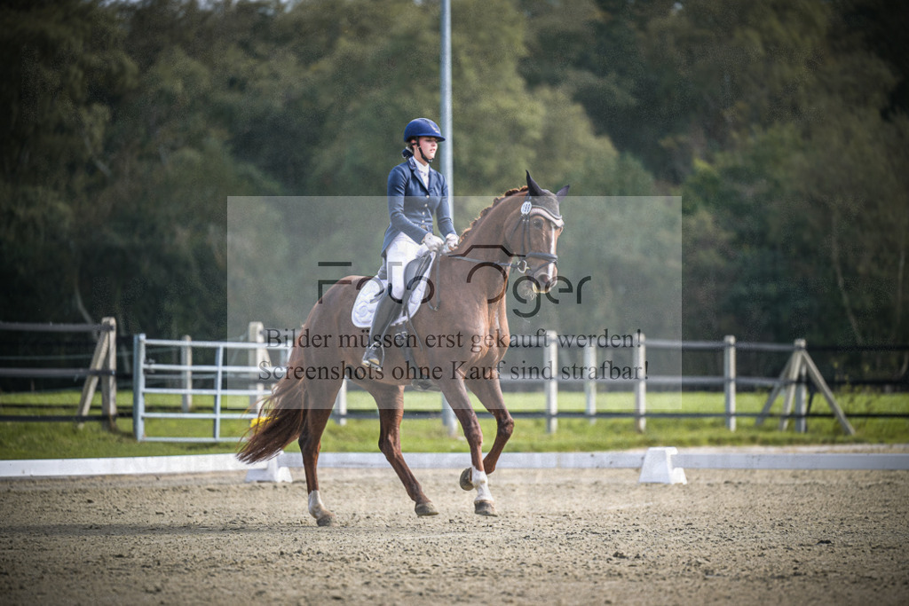 DOS_B644 | Entdecke hochwertige Reitturnierfotos von Foto Oger. Professionell, emotional und authentisch – jetzt Lieblingsmomente im Shop bestellen.Deutschlandweite Turnierfotografie. - Realisiert mit Pictrs.com