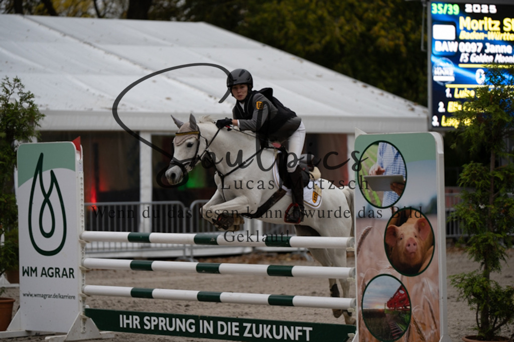 A7V00110 | Turnier/Reitfotograf