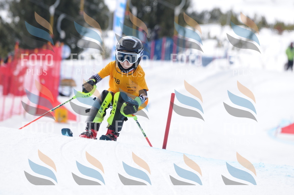 C7554 | holidayphoto