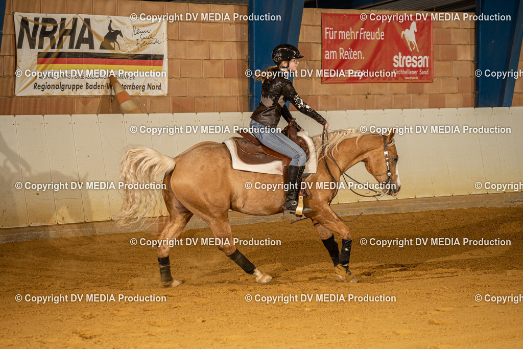 MIT00549 | dv-media-shop - Realisiert mit Pictrs.com