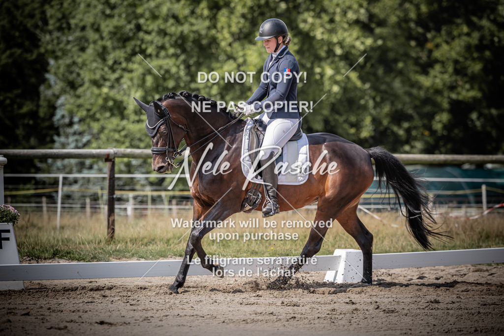 nelerasche_DrL_KandEde_11 | nelerasche