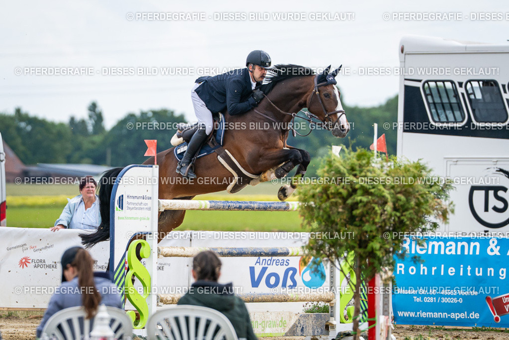 DSC07209 | Pferdegrafie