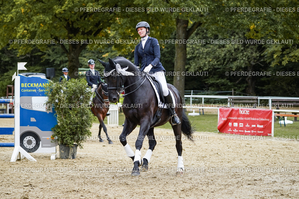 DSC02662 | Pferdegrafie