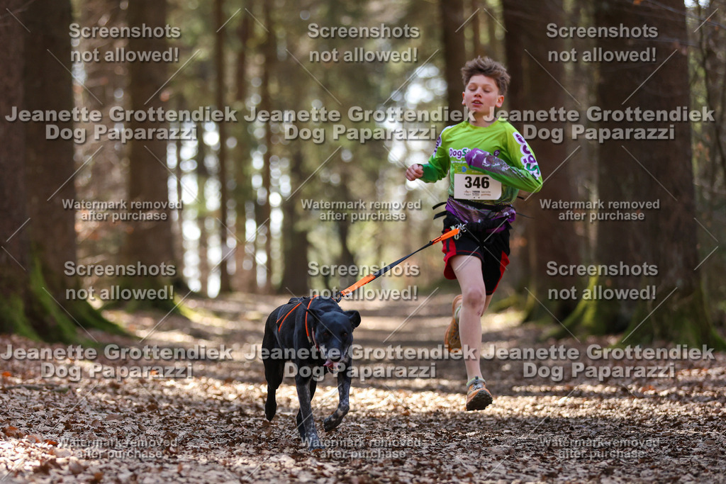 Dog Paparazzi - VCC26-1435 | Dog Paparazzi Jeanette Grottendiek Fotografie & Videografie - Realisiert mit Pictrs.com