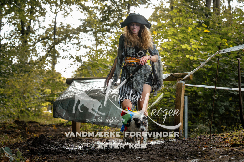 1452DZ6_3739Z6 | kk-dogfotos