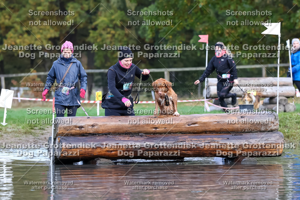 Dog Paparazzi - Strongdog 10-25-6822 | Dog Paparazzi Jeanette Grottendiek Fotografie & Videografie - Realisiert mit Pictrs.com