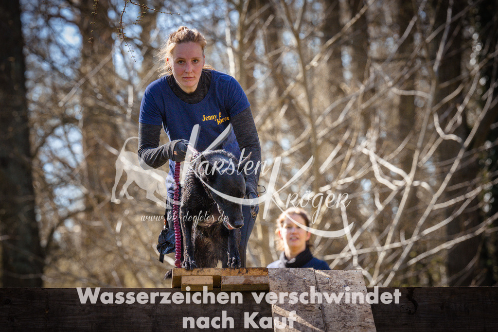 0921_ZZ95040 | kk-dogfotos