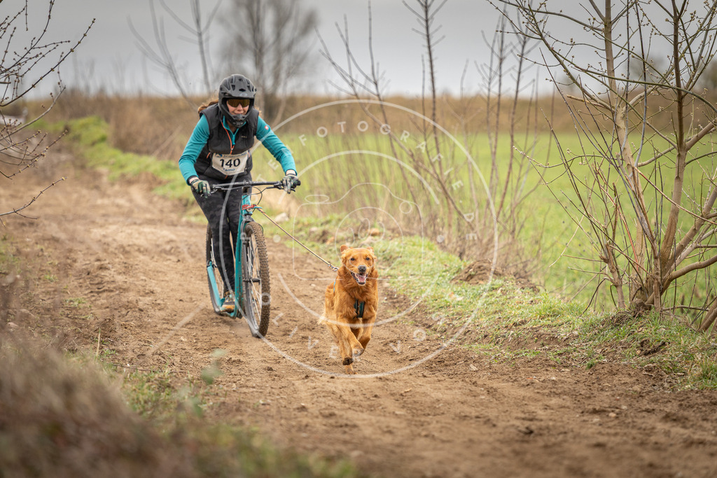 DV3A1445 | Hundefotografie, Tierfotograf, Pfotenfotografie, Fotoshooting Hund, Hunde Portrait, Hundesport, Hundeportraits, Heideshooting, Hunde, Sportfotograf, Hundefotograf, Turnierhundsport, THS,  - Realisiert mit Pictrs.com