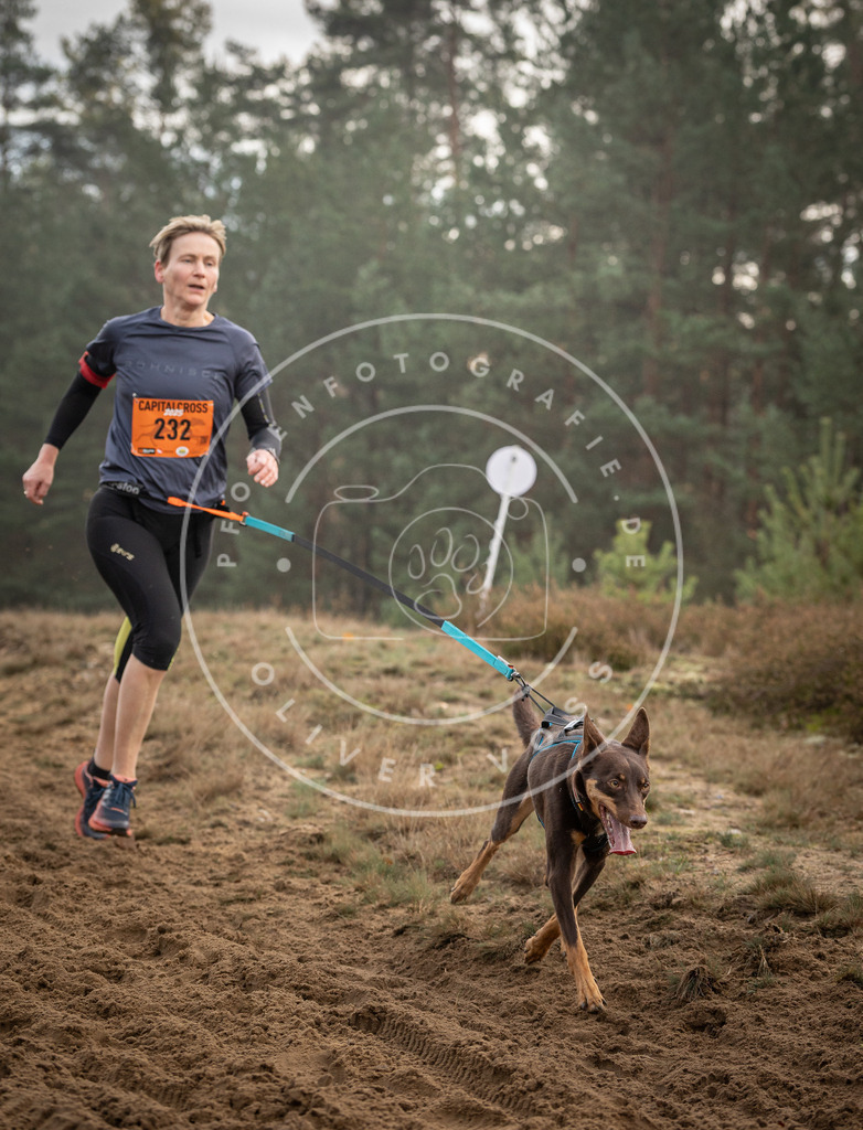 Pfotenfotografie_DV3A5512 | Hundefotografie, Tierfotograf, Pfotenfotografie, Fotoshooting Hund, Hunde Portrait, Hundesport, Hundeportraits, Heideshooting, Hunde, Sportfotograf, Hundefotograf, Turnierhundsport, THS,  - Realisiert mit Pictrs.com
