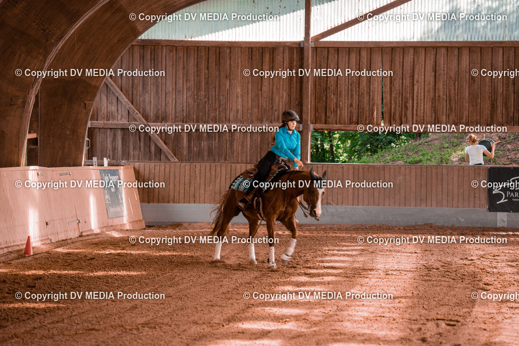 NE201098 | dv-media-shop - Realisiert mit Pictrs.com