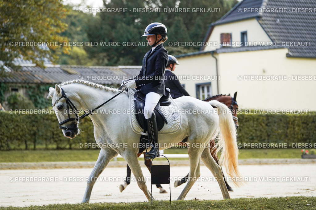 DSC05321 | Pferdegrafie