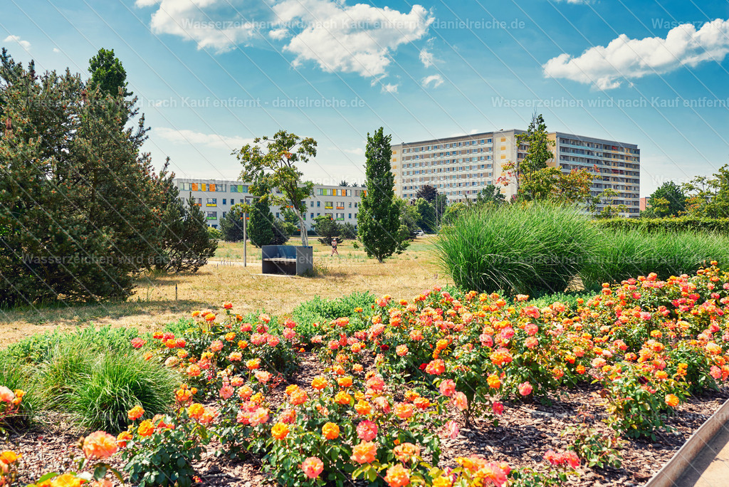 Hoyerswerda-Neustadt im Sommer 2023 - Central-Park | Hoyerswerda-Neustadt im Sommer 2023 - Central-Park - Realisiert mit Pictrs.com