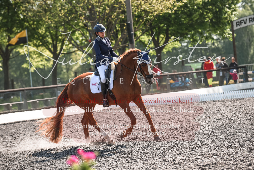 DSC_8862 | Pferde- und Turnierfotografie in Westsachsen. Pferdeportraits, Auftragszeichnungen und intuitive Kunst.