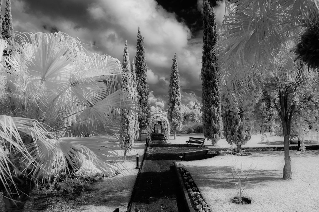 portugal-2016-085 | In einem botanischen Garten in Funchal auf der Insel Madeira - Realisiert mit Pictrs.com