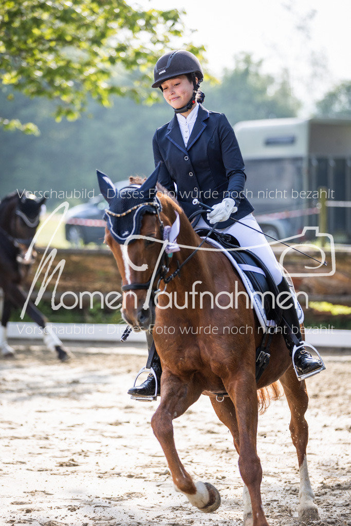 Donop24-A-Dre-167 | MomenTaufnahmen Pferdesportfotos