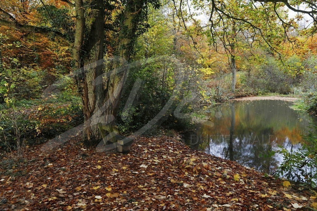 NatureArt-HERBSTBANK_8444 | Waldteich mit Bank | #002 | Modell: Lena | Foto: Tschiponnique Skupin - Realisiert mit Pictrs.com