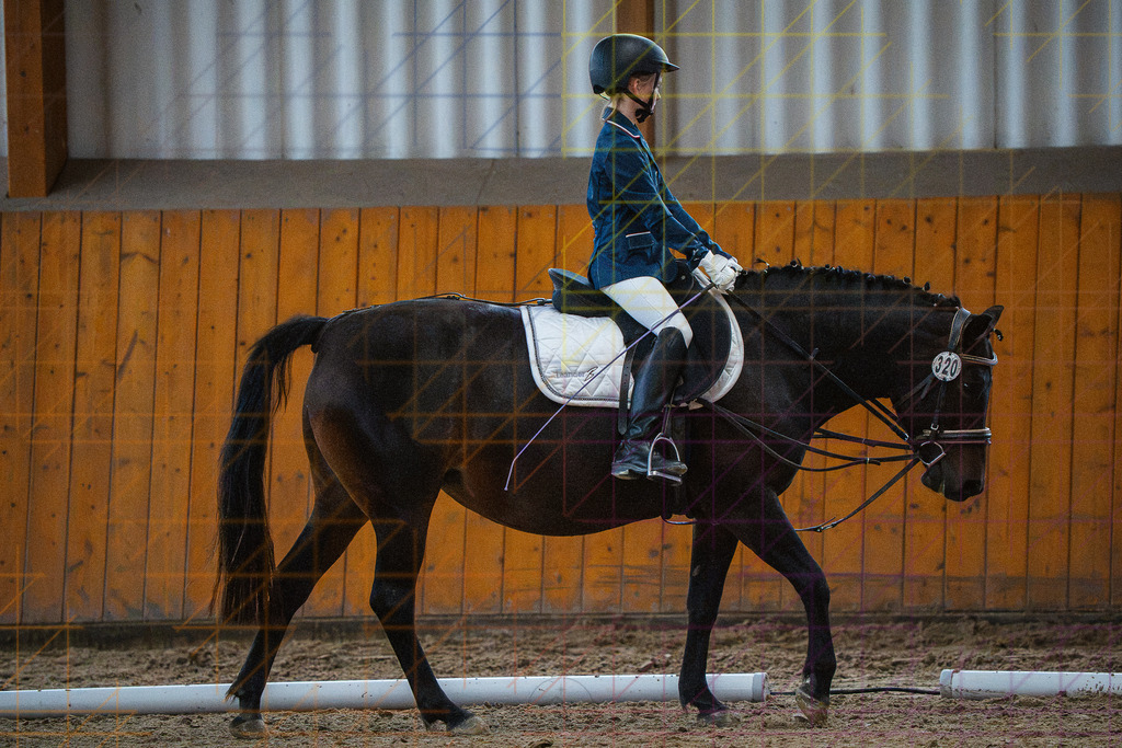 202609261552DSC08239 | Mario Konang lightrecords.de - Realisiert mit Pictrs.com