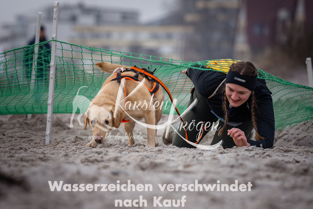 1149_ZZ90859 | kk-dogfotos