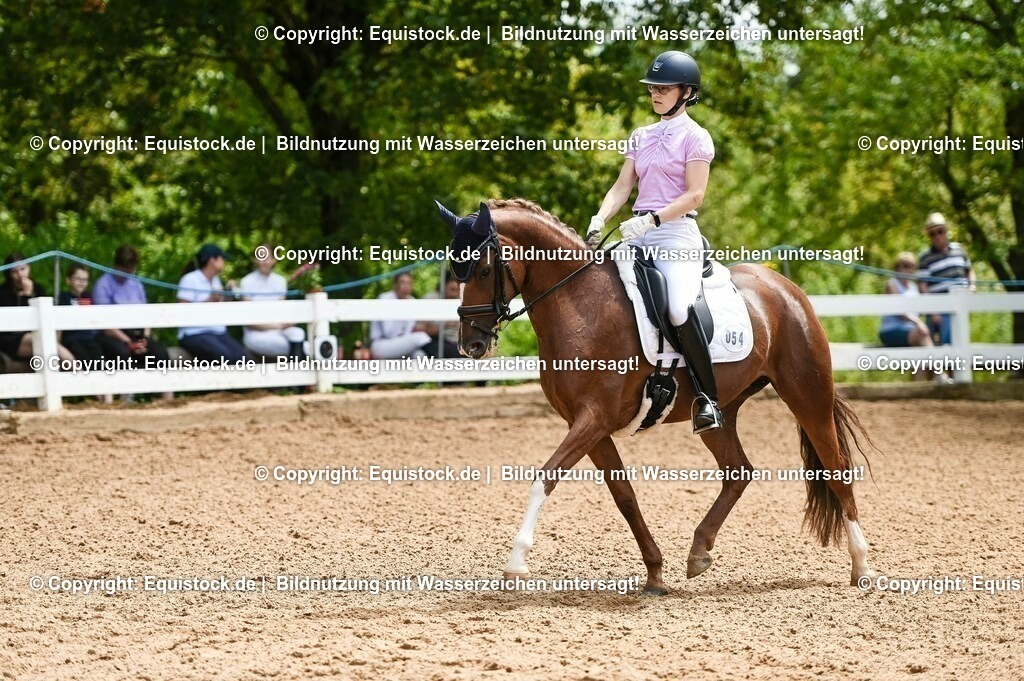 20230716_03_Dressurprfg. Kl.L - Tr._0238 | equistock