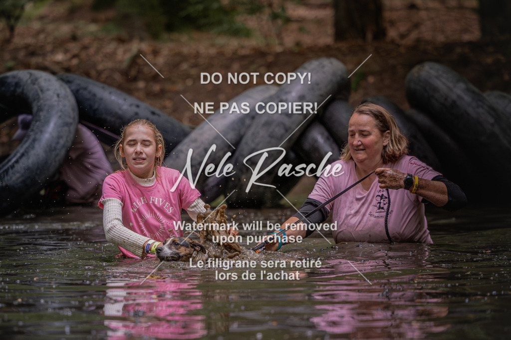nelerasche_SaWingst1400-1500_120 | nelerasche