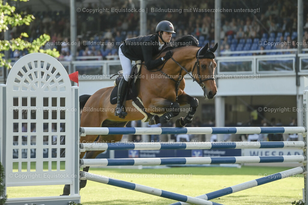 20230526_Pferdenacht_0010 | equistock