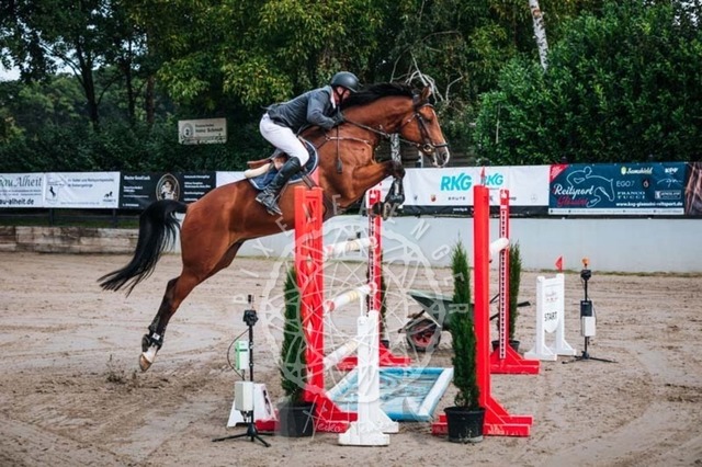 2B4A1187 | pixelfaenger - Realisiert mit Pictrs.com