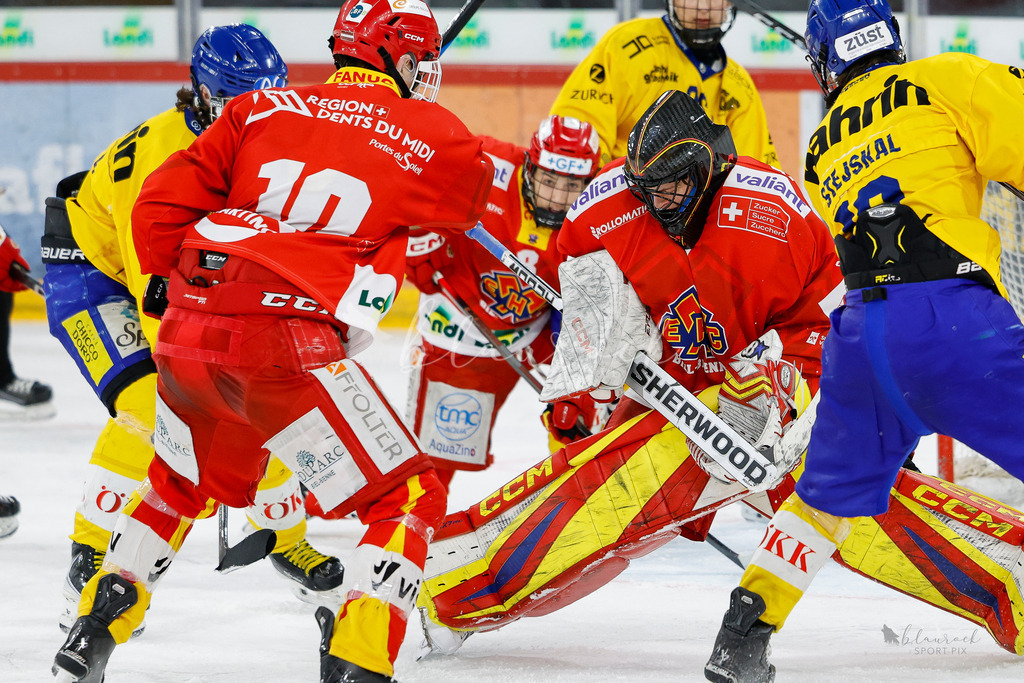 U21_EHCB vs HCD_wb20260308-0302 | Sportbilder, Sportfotograf, Hochzeits- und Eventfotografin, Flugshows, Portraits und Tiershooting, Aviation, Downhill, Nationalleague, Swissleague, International