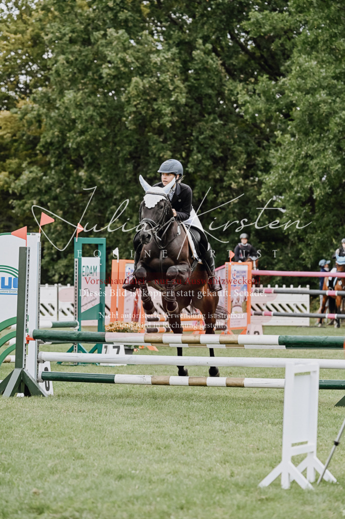 DSC_6805 | Pferde- und Turnierfotografie in Westsachsen. Pferdeportraits, Auftragszeichnungen und intuitive Kunst.