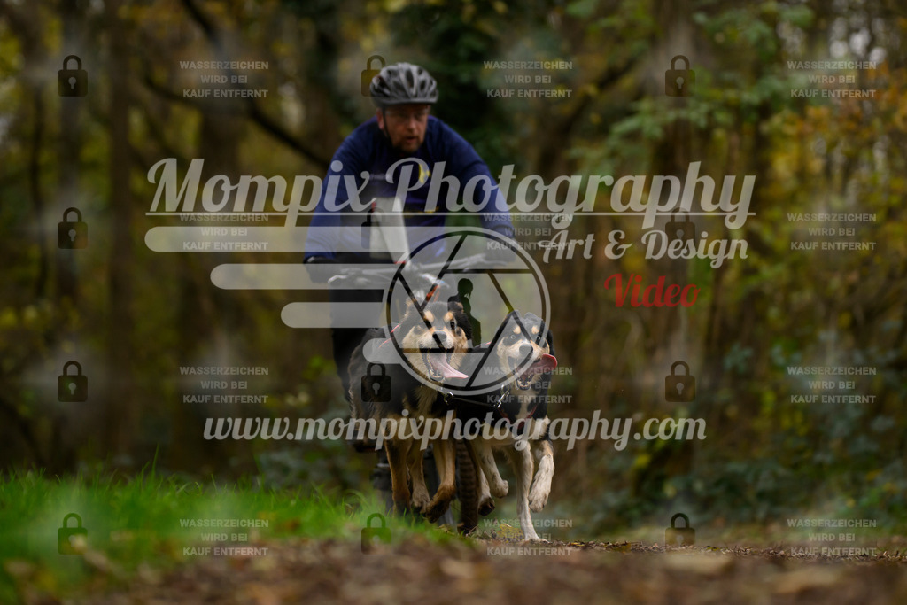 MompixPhotography_Bischwiller24_SA_VTT2-17 | PayLife